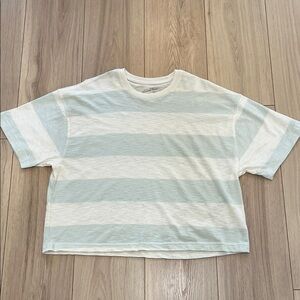 Universal Thread Cotton Short-Sleeve Striped Cropped T-Shirt in White and Mint